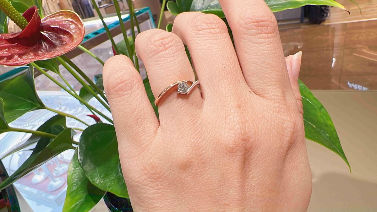 法蝶 (26).jpg 法蝶 (26).jpg