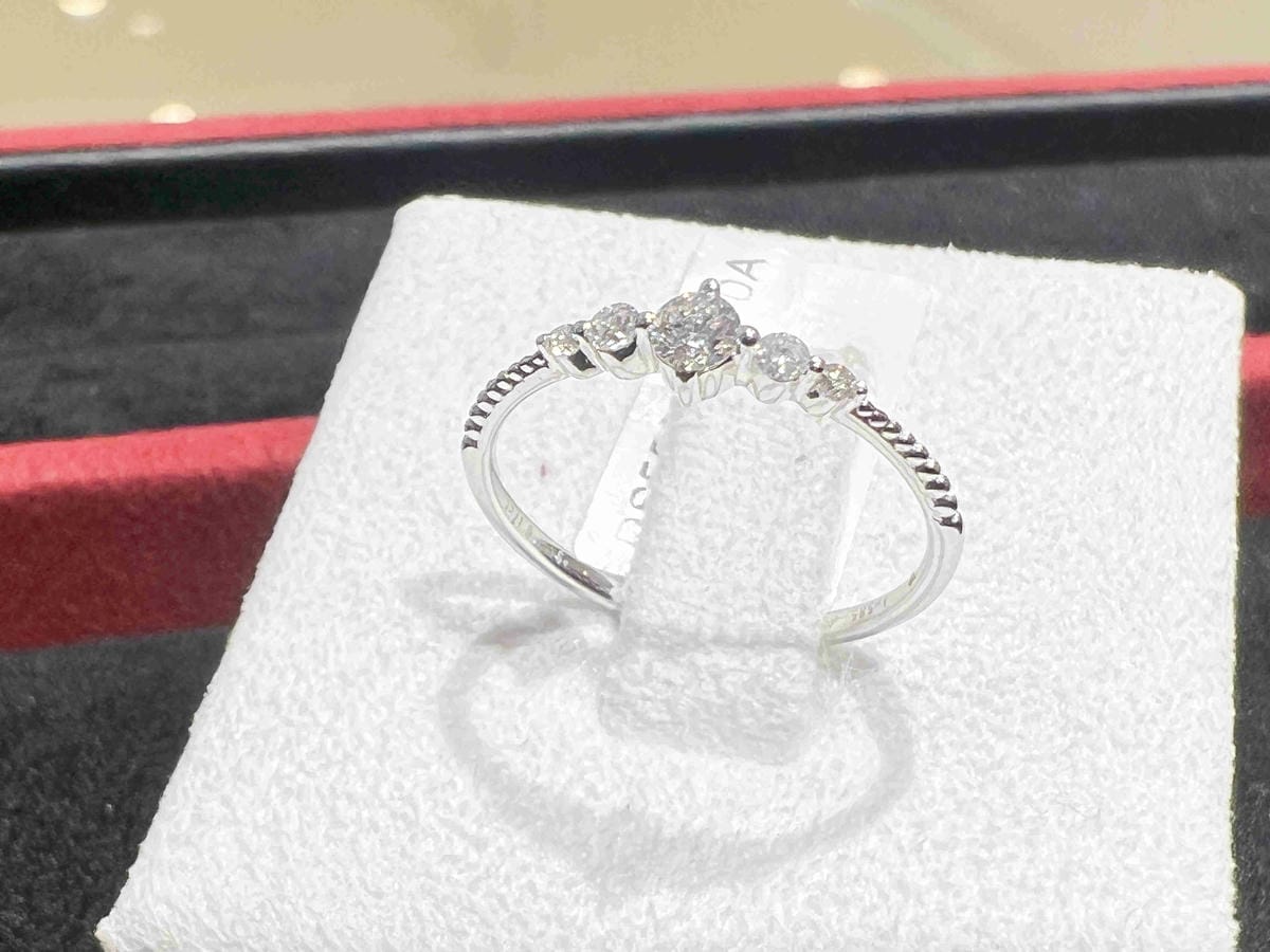 法蝶 (13).jpg 法蝶 (13).jpg