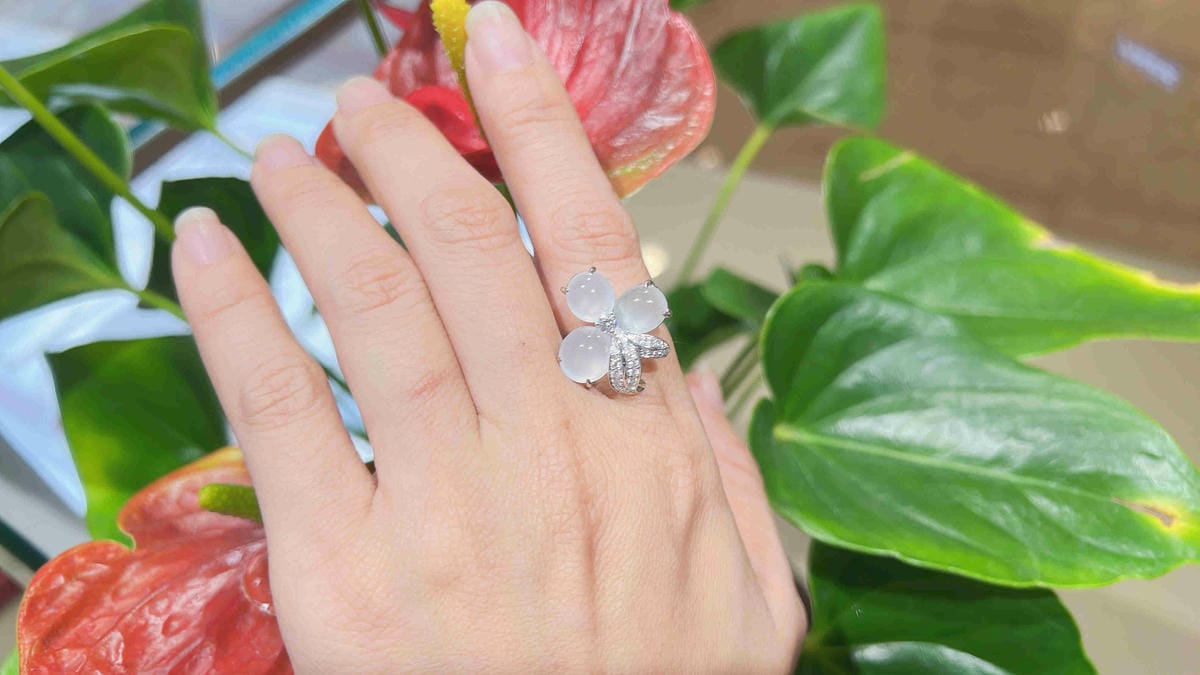 法蝶 (39).jpg 法蝶 (39).jpg