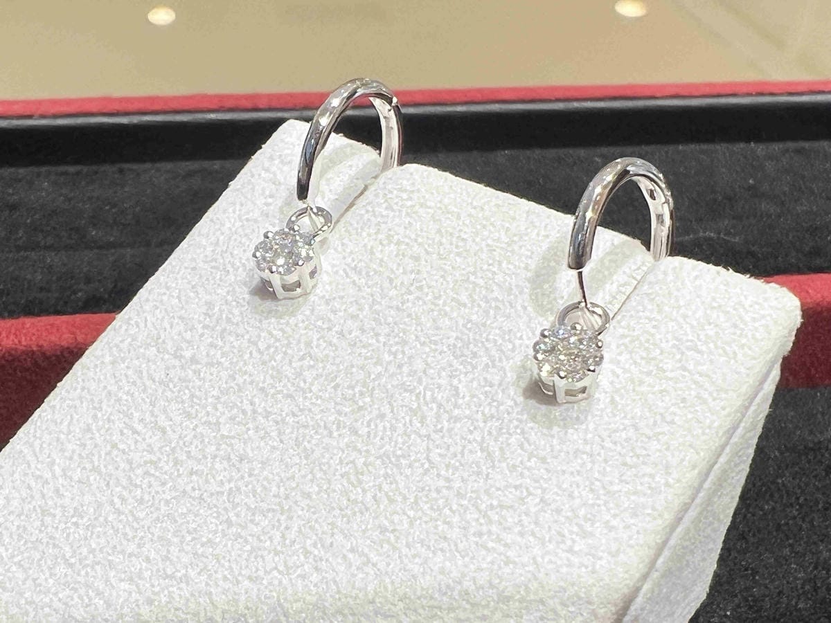 法蝶 (12).jpg 法蝶 (12).jpg