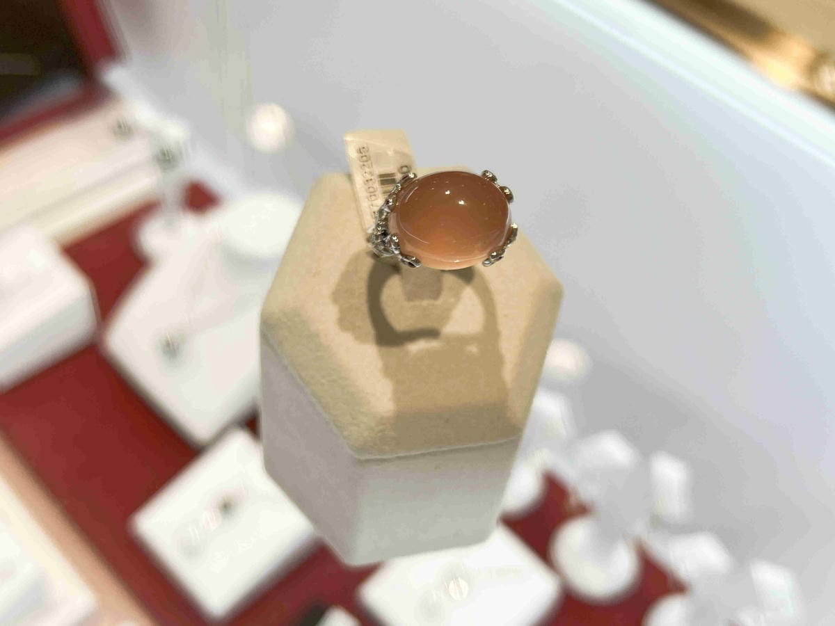 法蝶 (47).JPG 法蝶 (47).JPG