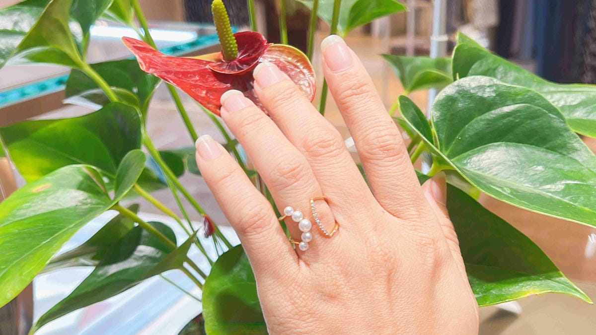 法蝶 (16).jpg 法蝶 (16).jpg