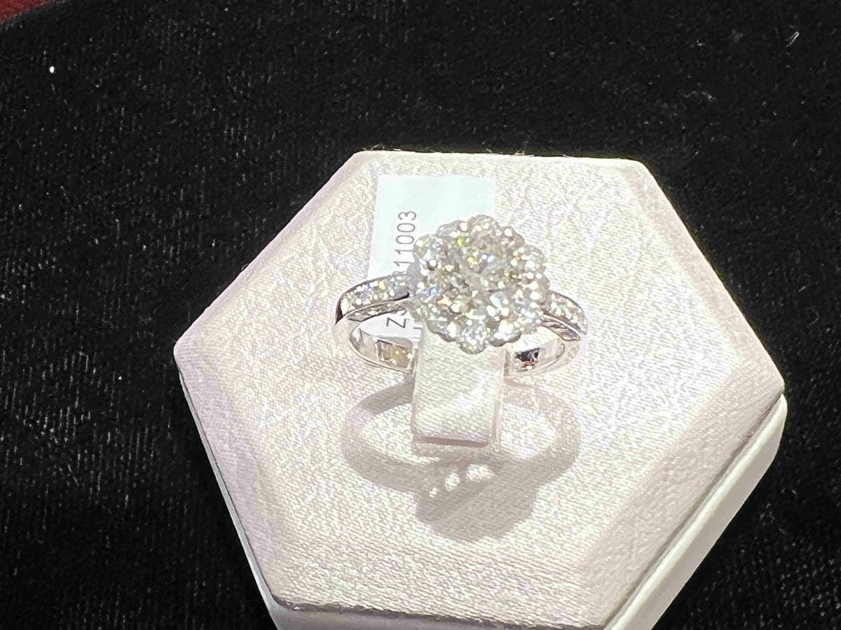 法蝶 (57).jpg 法蝶 (57).jpg