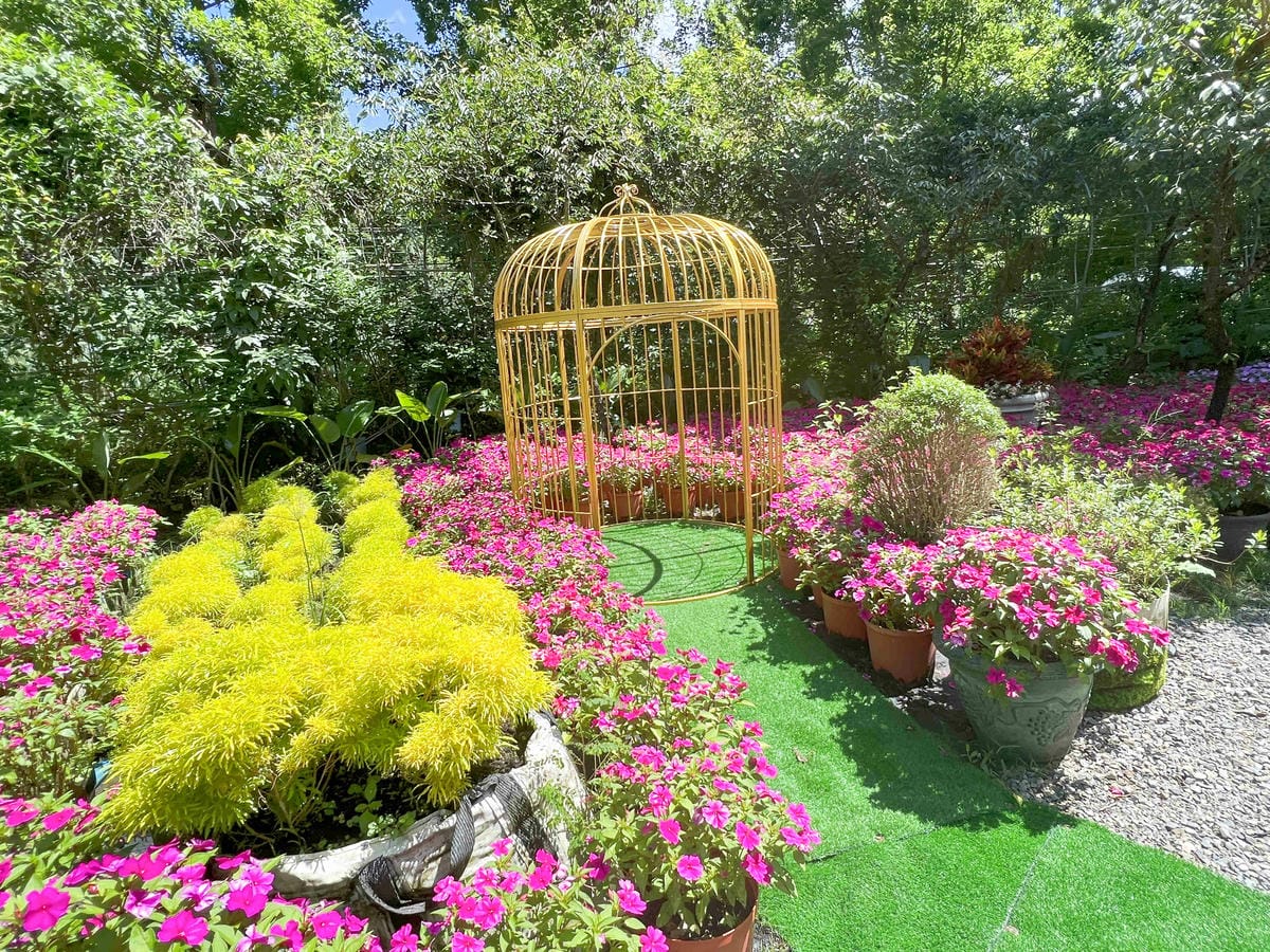 楓樺台一渡假村 (196).jpg 楓樺台一渡假村 (196).jpg