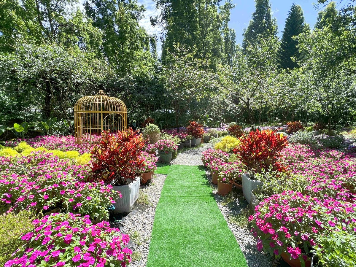 楓樺台一渡假村 (195).jpg 楓樺台一渡假村 (195).jpg