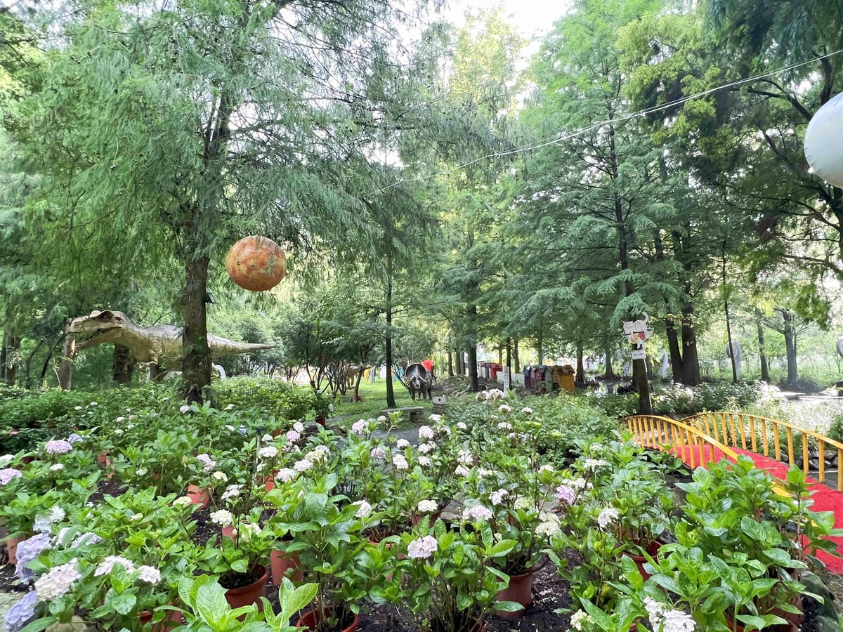 楓樺台一渡假村 (96).jpg 楓樺台一渡假村 (96).jpg