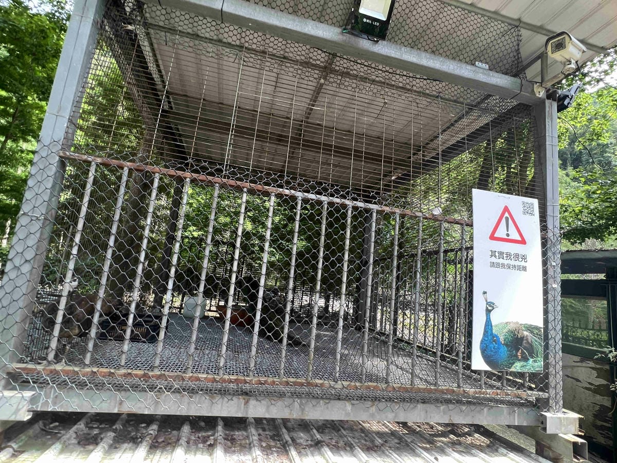 楓樺台一渡假村 (39).jpg 楓樺台一渡假村 (39).jpg