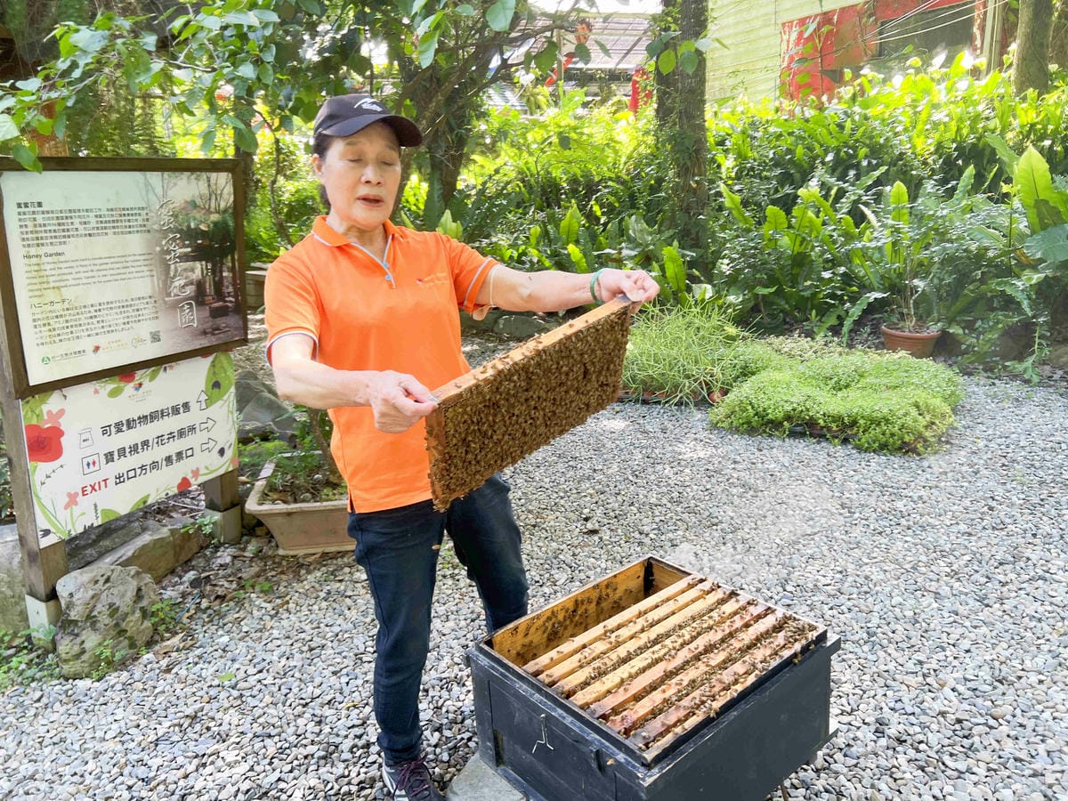 楓樺台一渡假村 (192).jpg 楓樺台一渡假村 (192).jpg