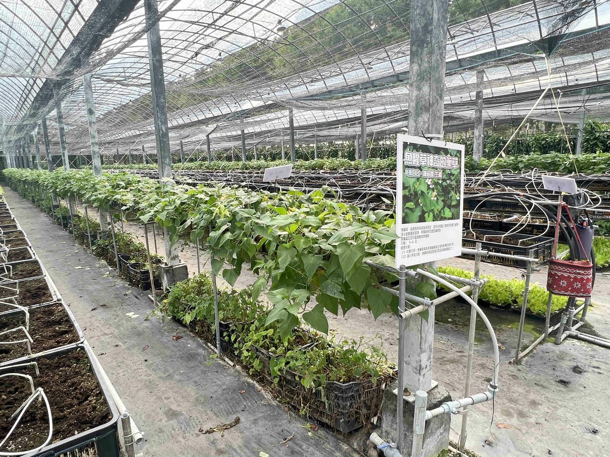 楓樺台一渡假村 (11).jpg 楓樺台一渡假村 (11).jpg