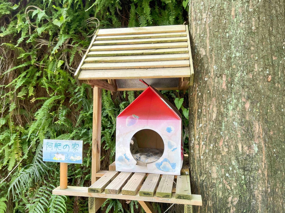 楓樺台一渡假村 (59).jpg 楓樺台一渡假村 (59).jpg