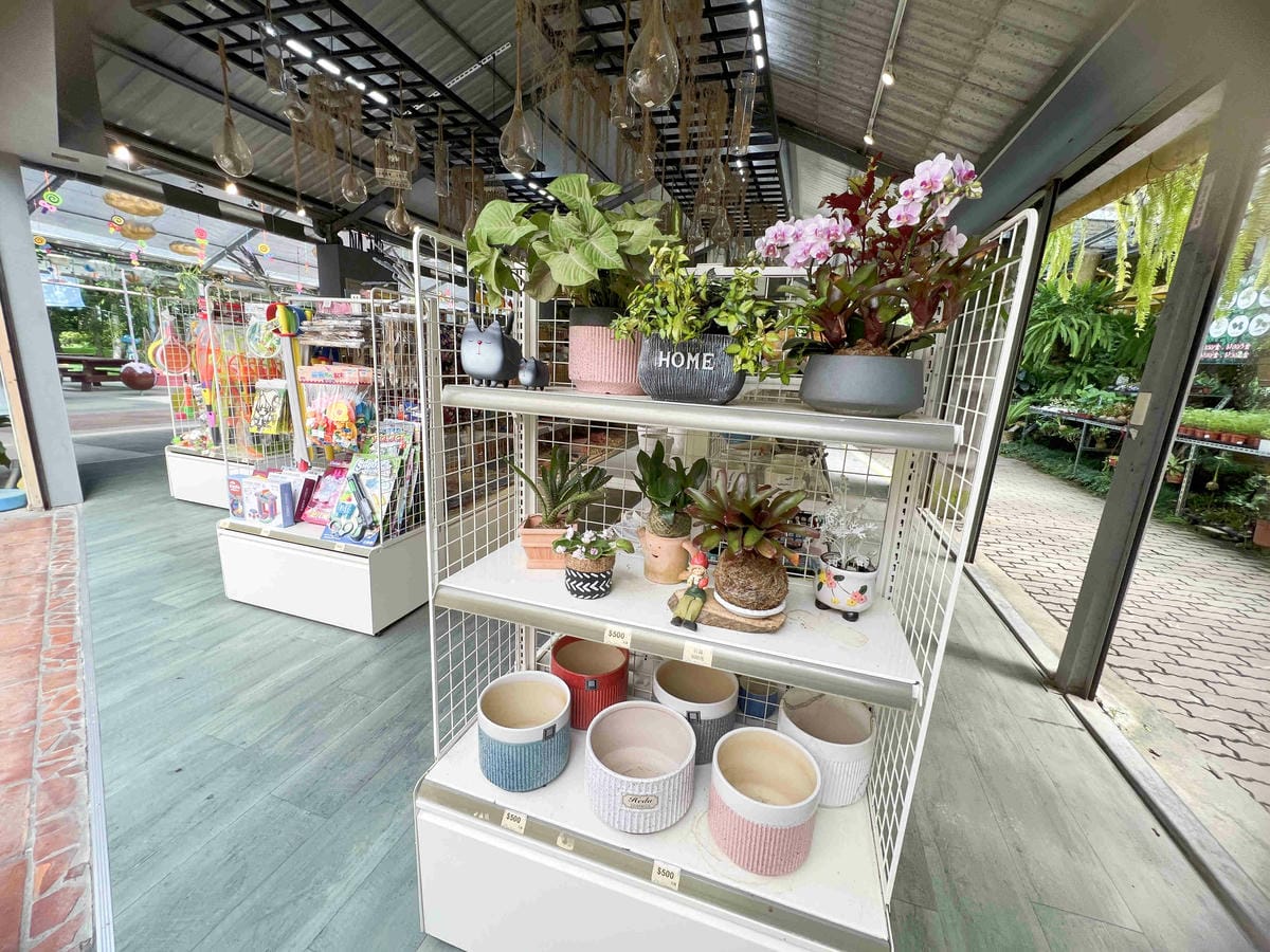 楓樺台一渡假村 (185).jpg 楓樺台一渡假村 (185).jpg