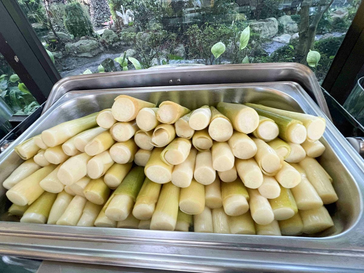 楓樺台一渡假村 (154).jpg 楓樺台一渡假村 (154).jpg