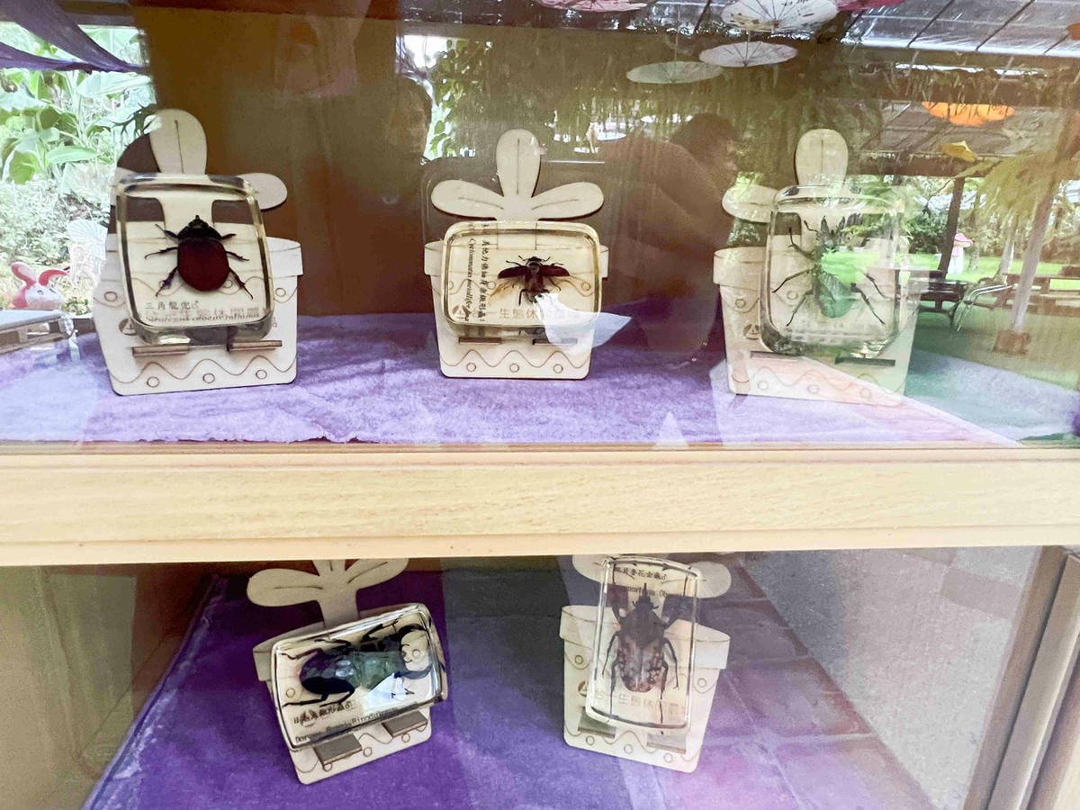 楓樺台一渡假村 (26).jpg 楓樺台一渡假村 (26).jpg