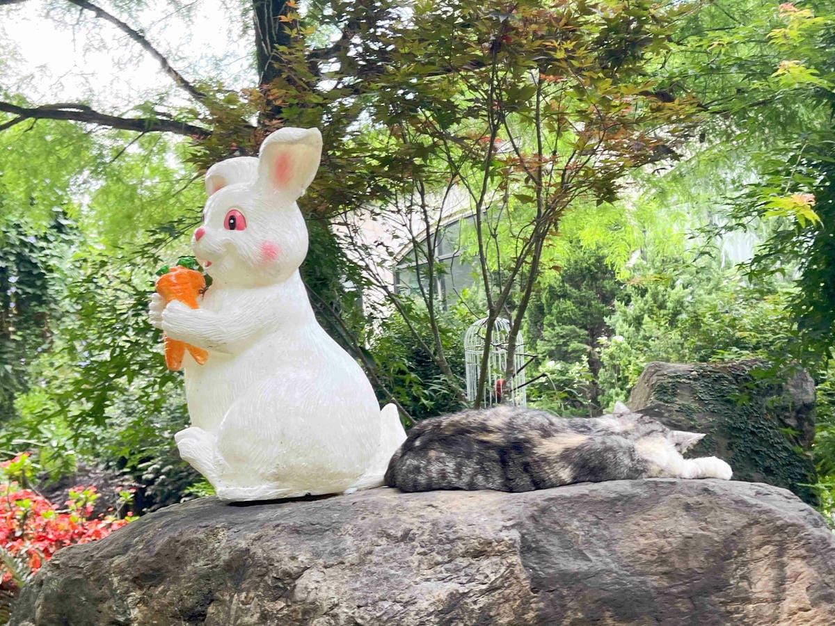 楓樺台一渡假村 (60).jpg 楓樺台一渡假村 (60).jpg