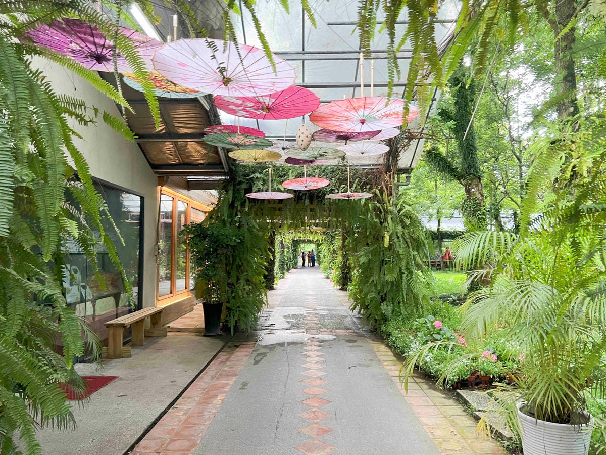 楓樺台一渡假村 (108).jpg 楓樺台一渡假村 (108).jpg