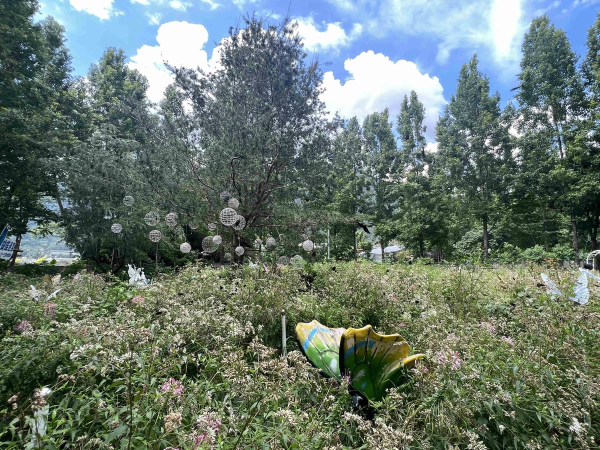 楓樺台一渡假村 (42).jpg 楓樺台一渡假村 (42).jpg