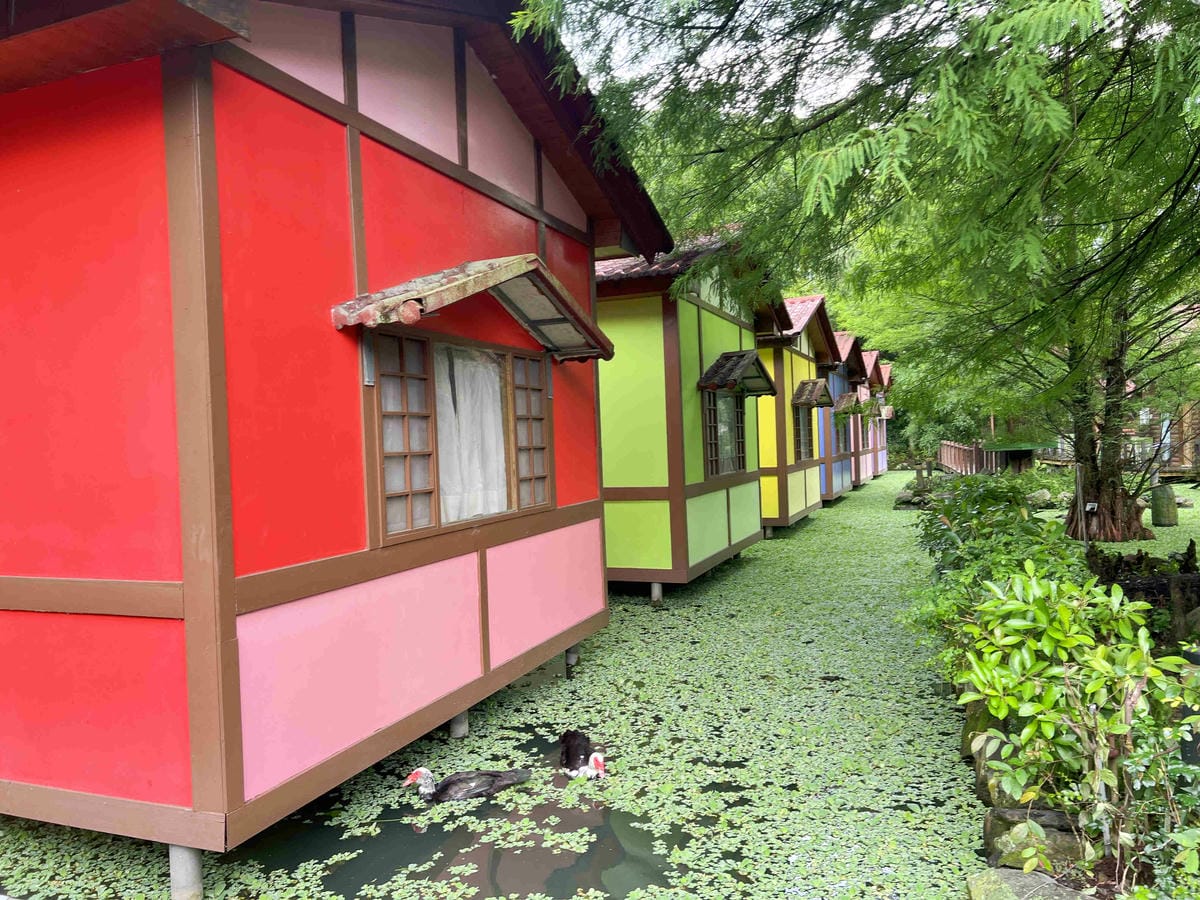 楓樺台一渡假村 (90).jpg 楓樺台一渡假村 (90).jpg