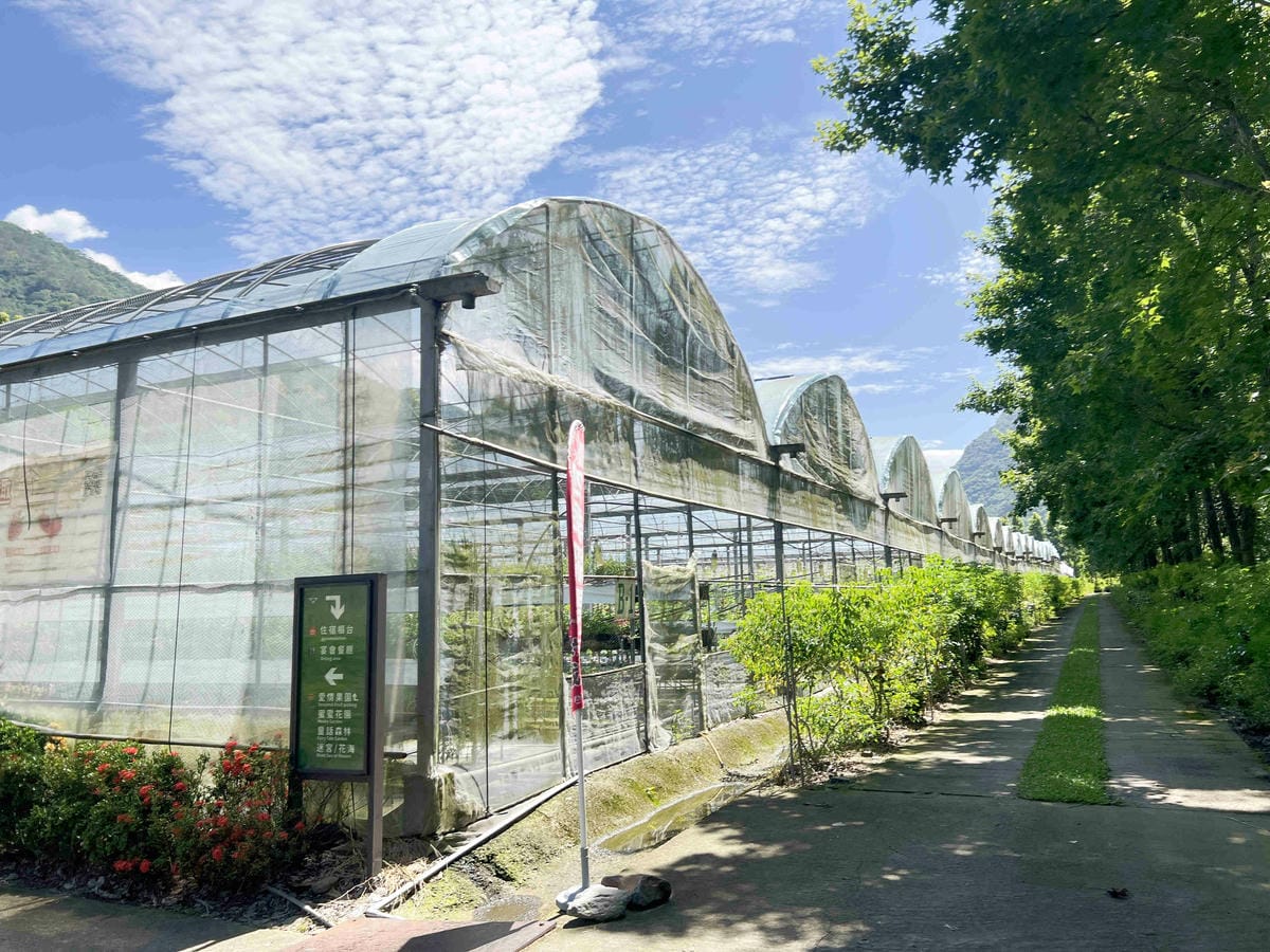 楓樺台一渡假村 (199).jpg 楓樺台一渡假村 (199).jpg