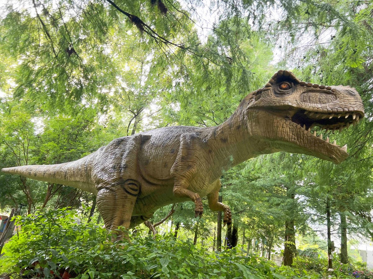 楓樺台一渡假村 (99).jpg 楓樺台一渡假村 (99).jpg