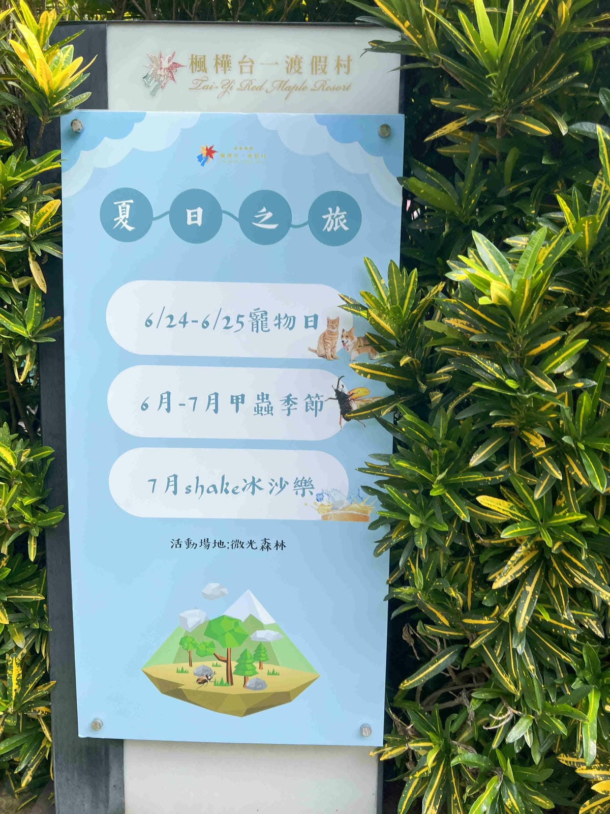 楓樺台一渡假村 (180).jpg 楓樺台一渡假村 (180).jpg