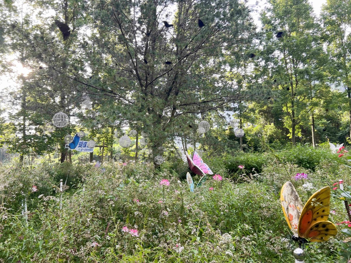 楓樺台一渡假村 (101).jpg 楓樺台一渡假村 (101).jpg