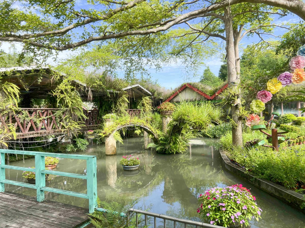 楓樺台一渡假村 (182).jpg 楓樺台一渡假村 (182).jpg