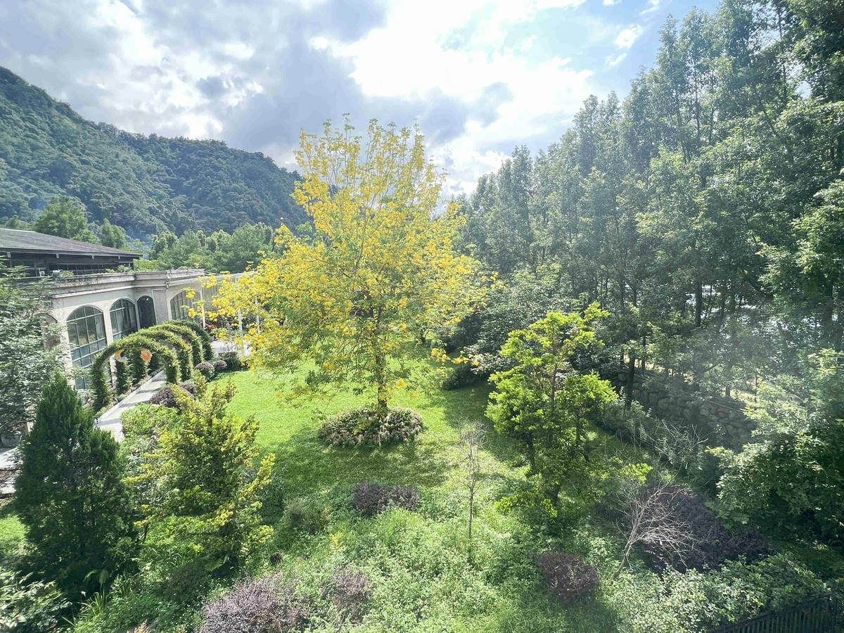 楓樺台一渡假村 (71).jpg 楓樺台一渡假村 (71).jpg