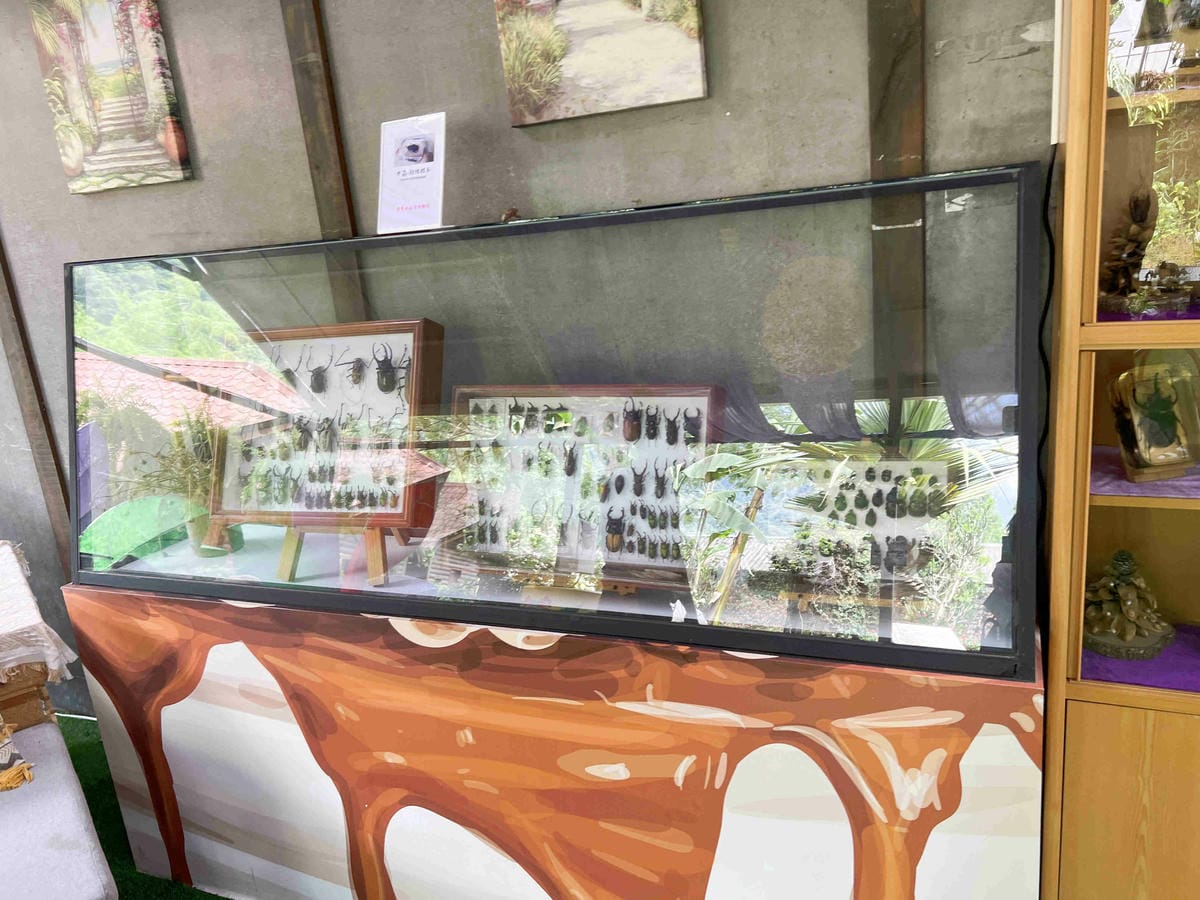 楓樺台一渡假村 (24).jpg 楓樺台一渡假村 (24).jpg