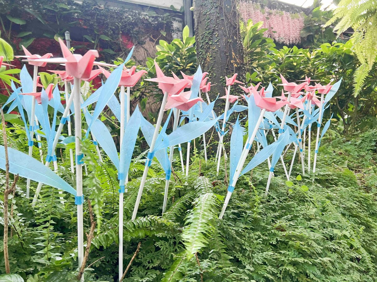 楓樺台一渡假村 (105).jpg 楓樺台一渡假村 (105).jpg