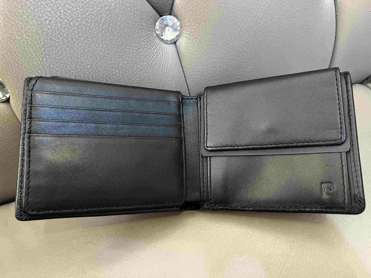 皮爾卡登 (11).jpg 皮爾卡登 (11).jpg