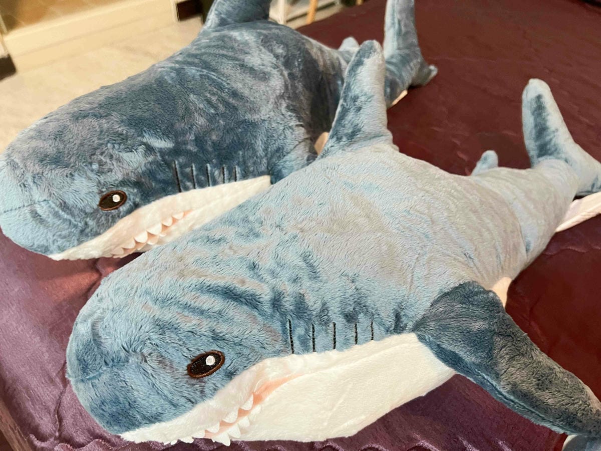 沙發馬鈴薯樂園 高雄鳳山青年旗艦店 (115).jpg 沙發馬鈴薯樂園 高雄鳳山青年旗艦店 (115).jpg