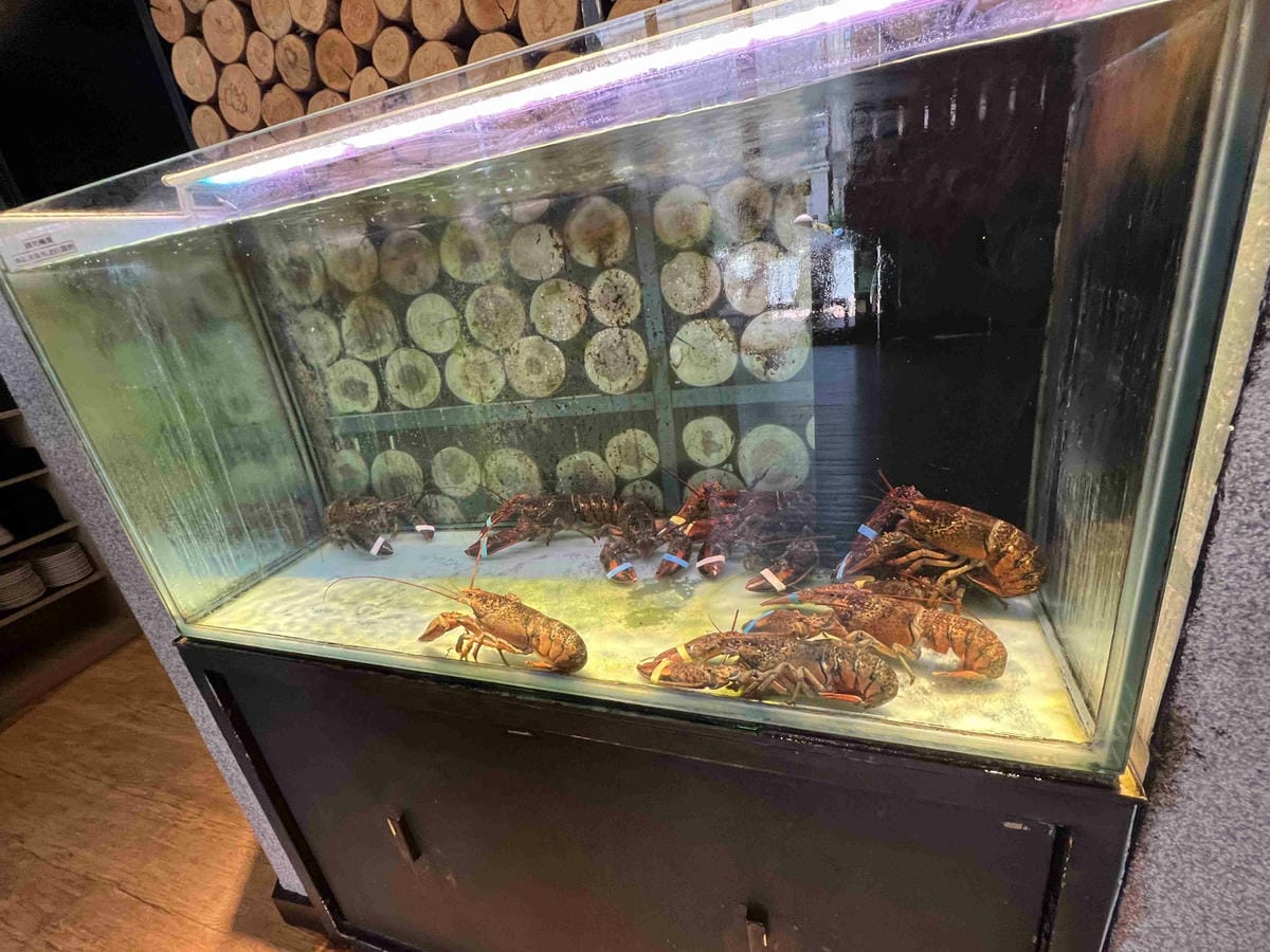 舞古賀鍋物專門店-頂級肉品平價專賣 (15).jpg 舞古賀鍋物專門店-頂級肉品平價專賣 (15).jpg