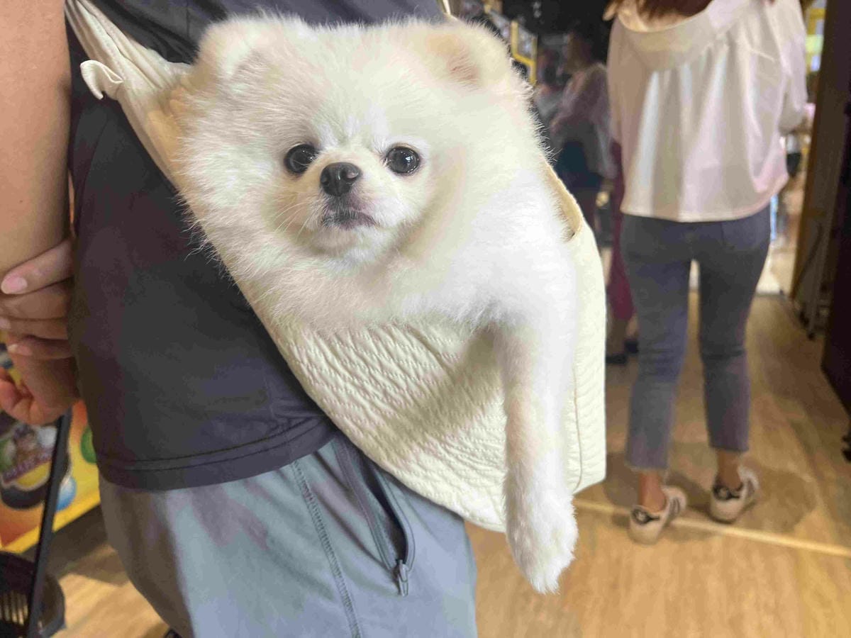 沙發馬鈴薯樂園龍潭聖亭店 (103).jpg 沙發馬鈴薯樂園龍潭聖亭店 (103).jpg