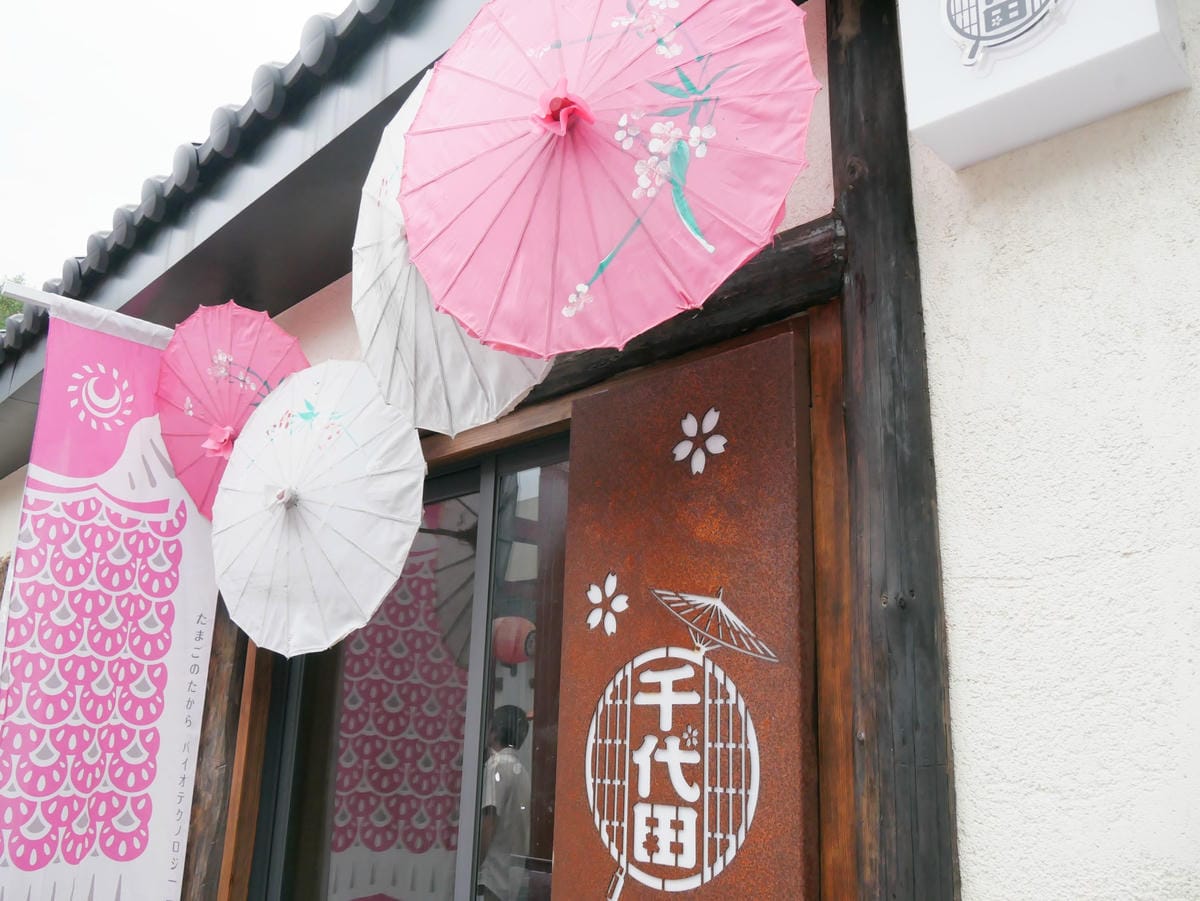 P1190044_副本.jpg P1190044_副本.jpg