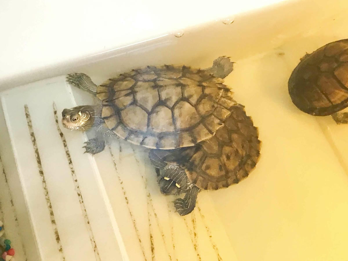 艾薇通訊科技 (23).jpg 艾薇通訊科技 (23).jpg