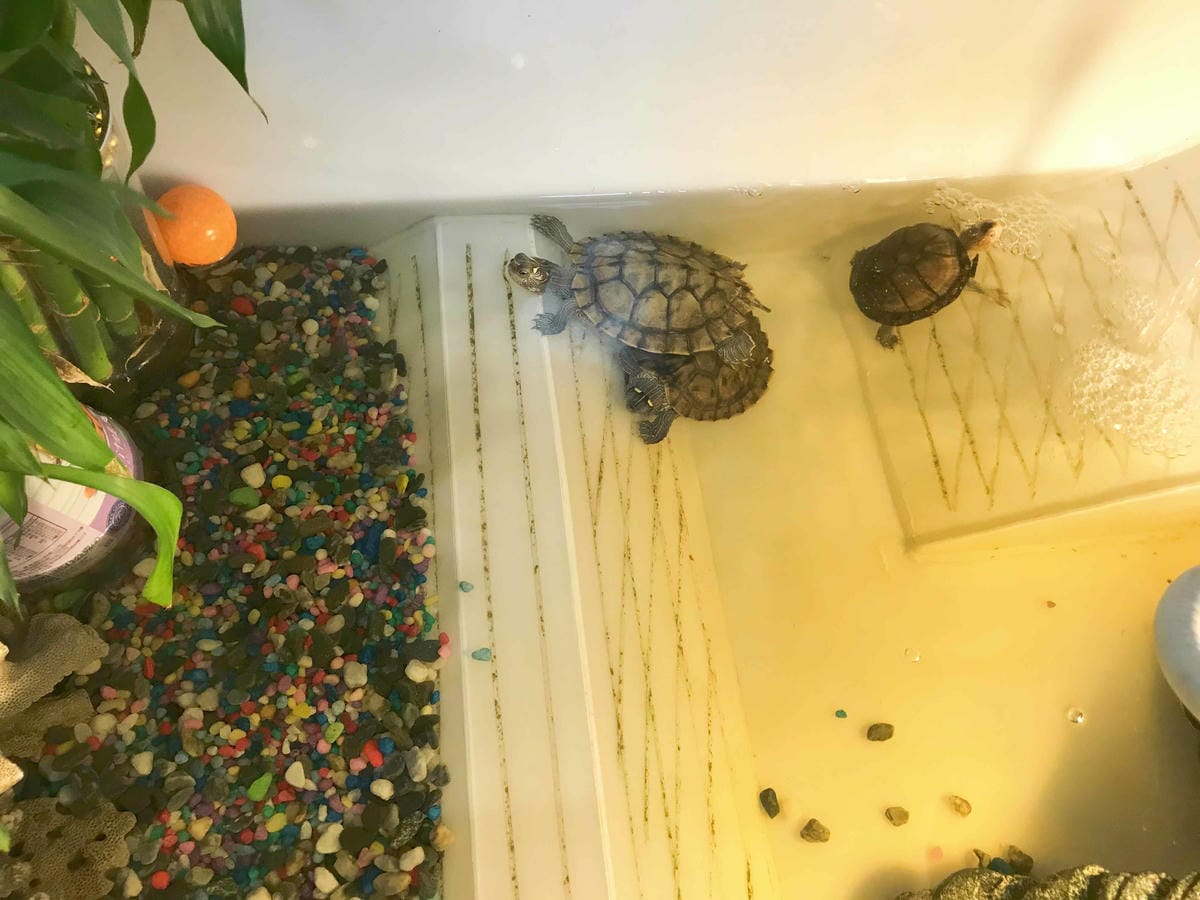 艾薇通訊科技 (22).jpg 艾薇通訊科技 (22).jpg