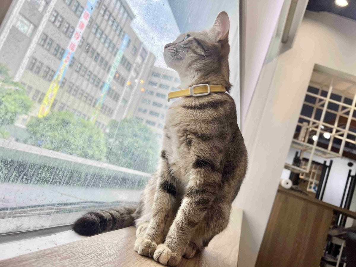 旭HAIR美髮台北車站旗鑑店 (1).jpg 旭HAIR美髮台北車站旗鑑店 (1).jpg