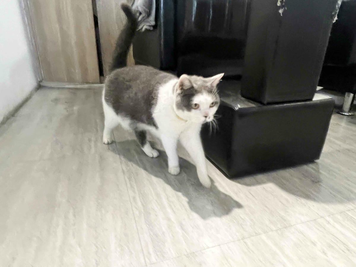 旭HAIR美髮台北車站旗鑑店 (8).jpg 旭HAIR美髮台北車站旗鑑店 (8).jpg