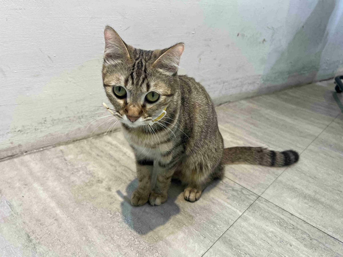 旭HAIR美髮台北車站旗鑑店 (69).jpg 旭HAIR美髮台北車站旗鑑店 (69).jpg