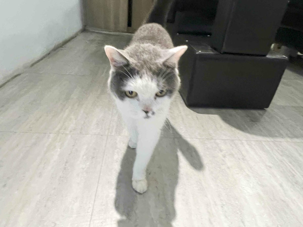 旭HAIR美髮台北車站旗鑑店 (9).jpg 旭HAIR美髮台北車站旗鑑店 (9).jpg