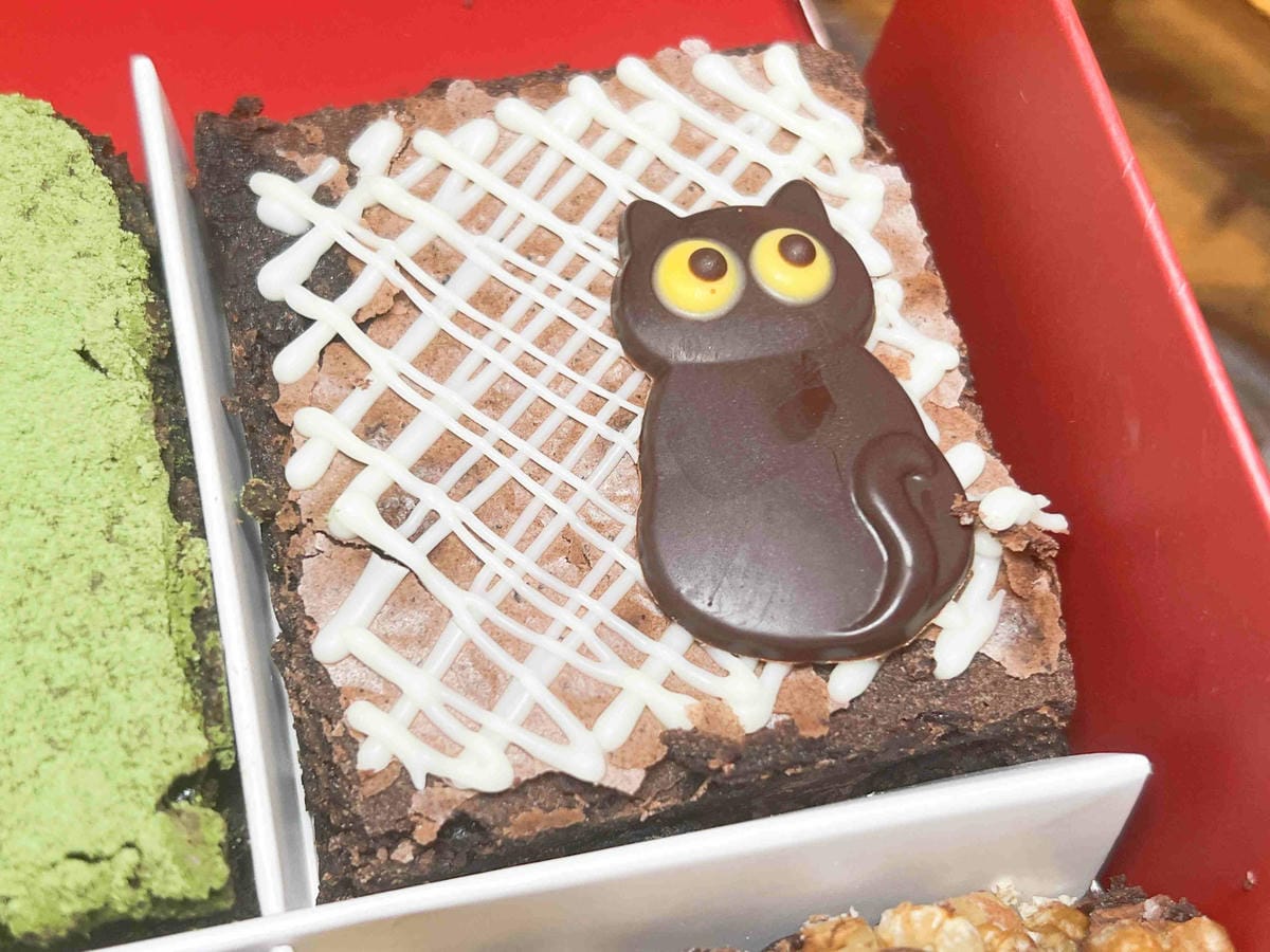  coco.Brownies可可布朗 祕法占卜 萬聖節限定禮盒  (22).jpg