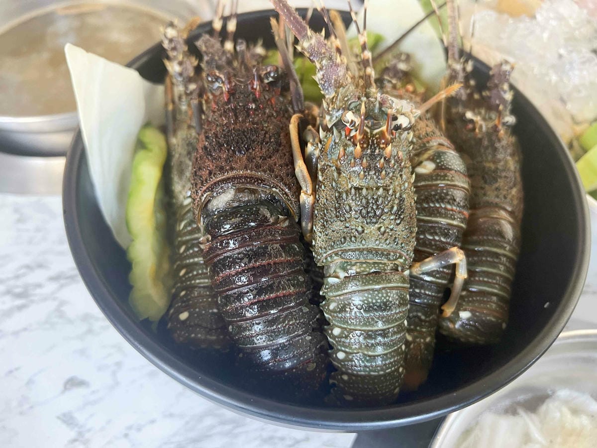 羽葉麻辣火鍋-三重都會館 (23).jpg 羽葉麻辣火鍋-三重都會館 (23).jpg