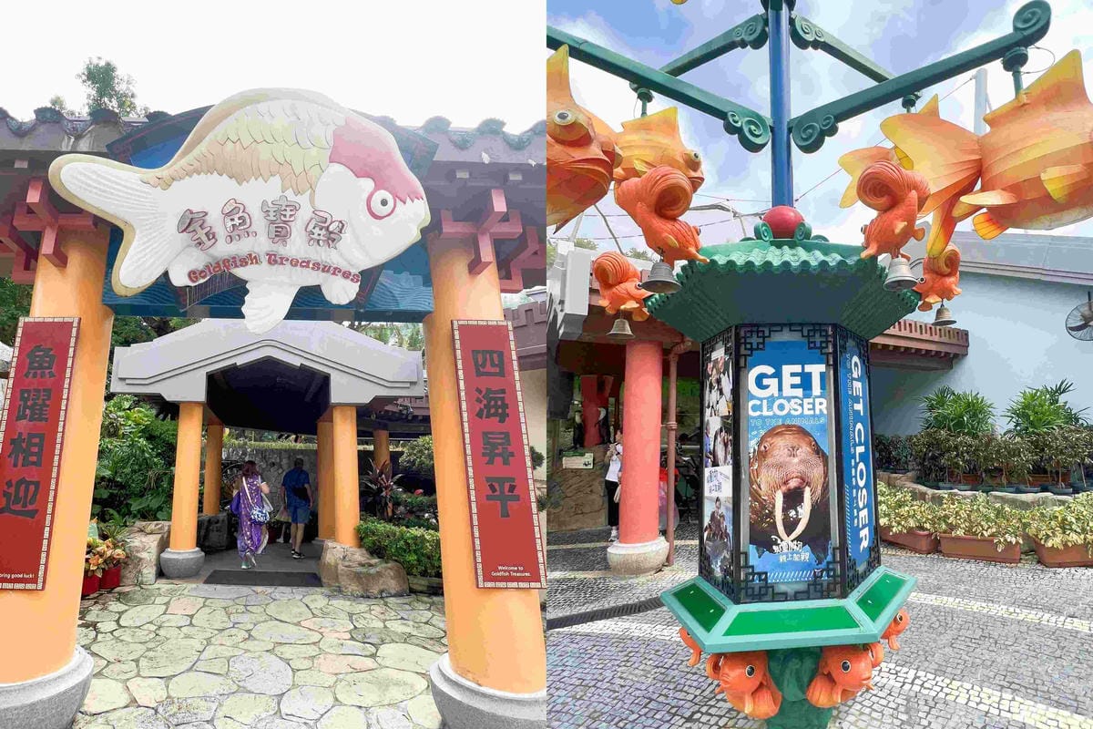 香港海洋公園 (89).jpg 香港海洋公園 (89).jpg