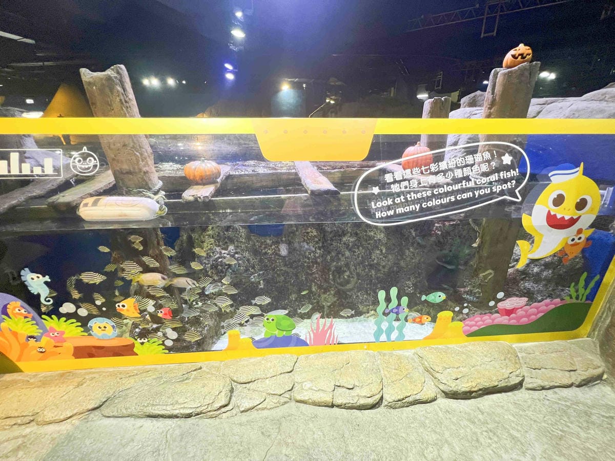 香港海洋公園 (19).jpg 香港海洋公園 (19).jpg