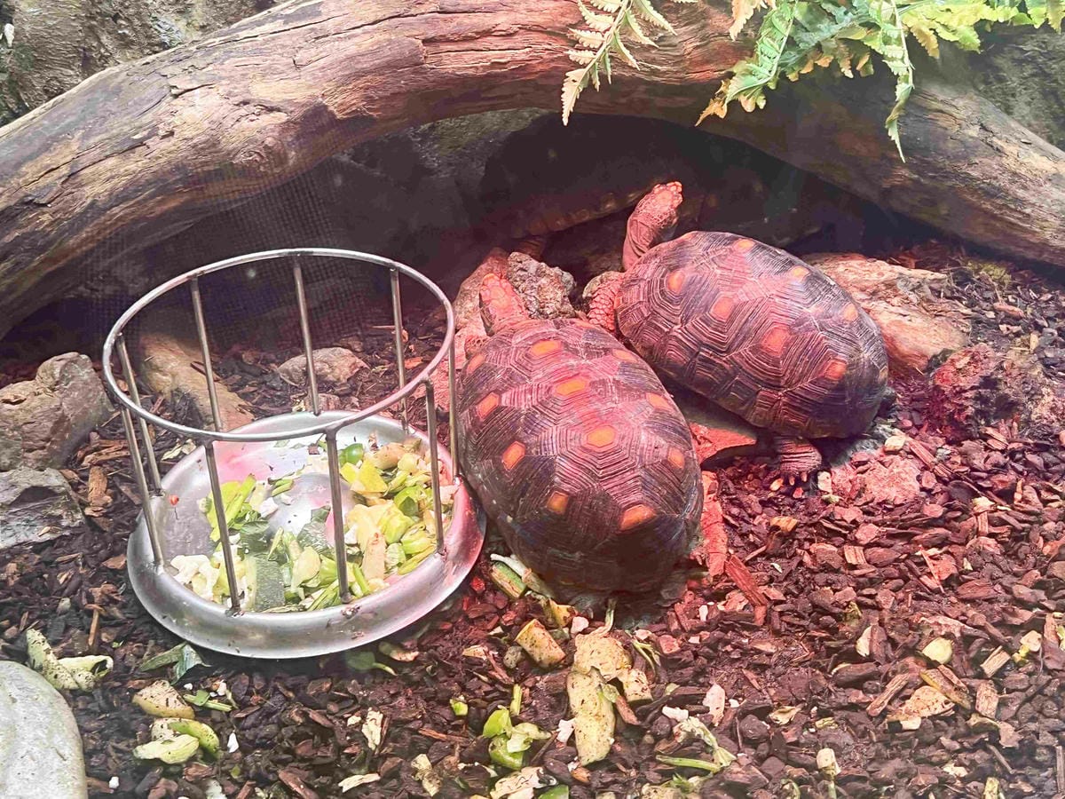 香港海洋公園 (166).jpg 香港海洋公園 (166).jpg