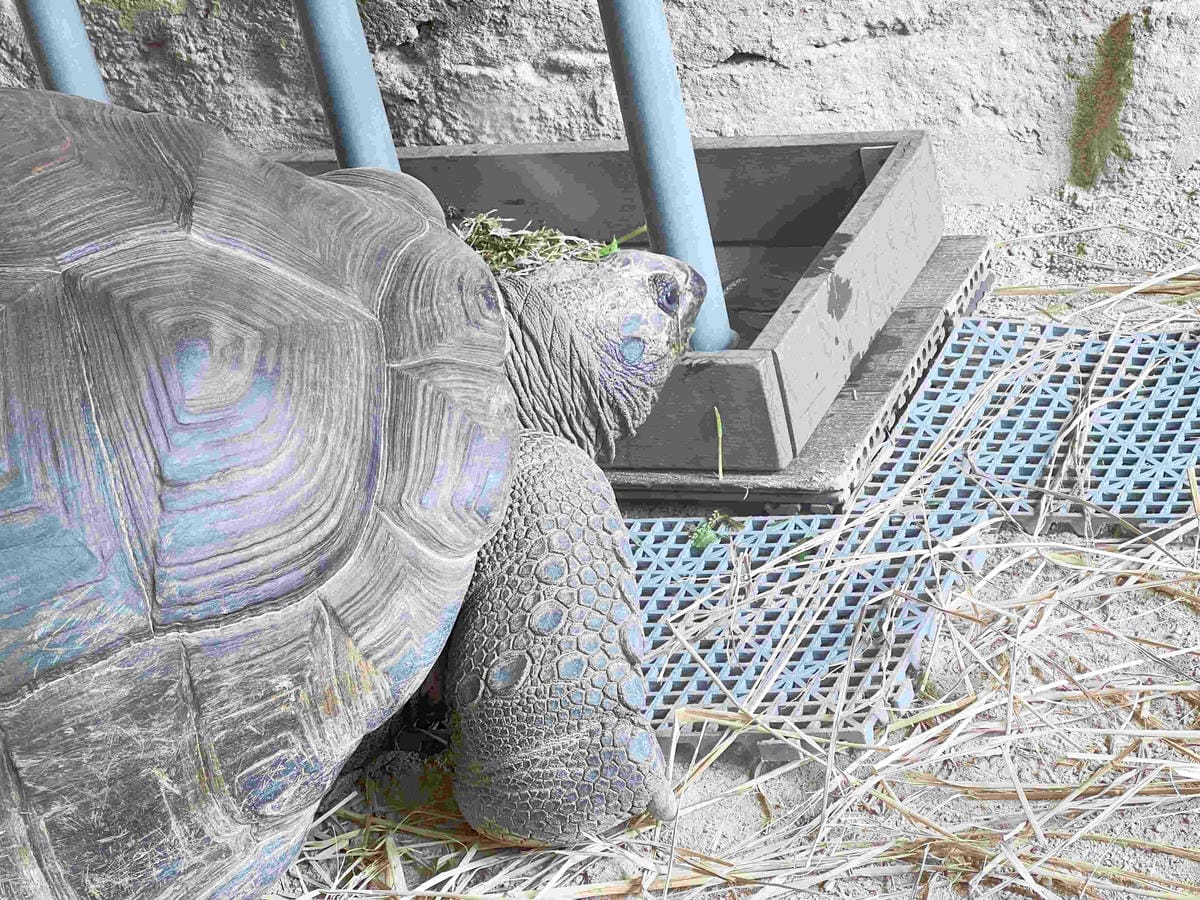 香港海洋公園 (113).jpg 香港海洋公園 (113).jpg