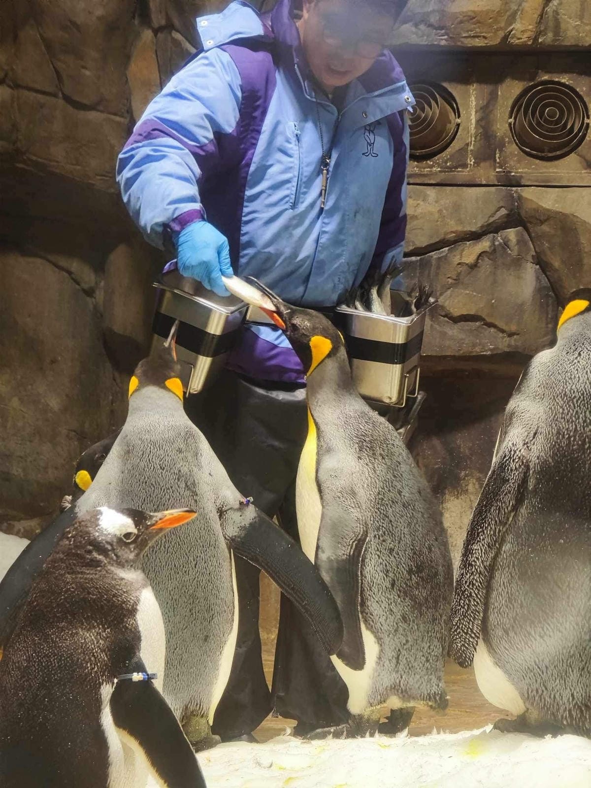 香港海洋公園 (213).jpg 香港海洋公園 (213).jpg