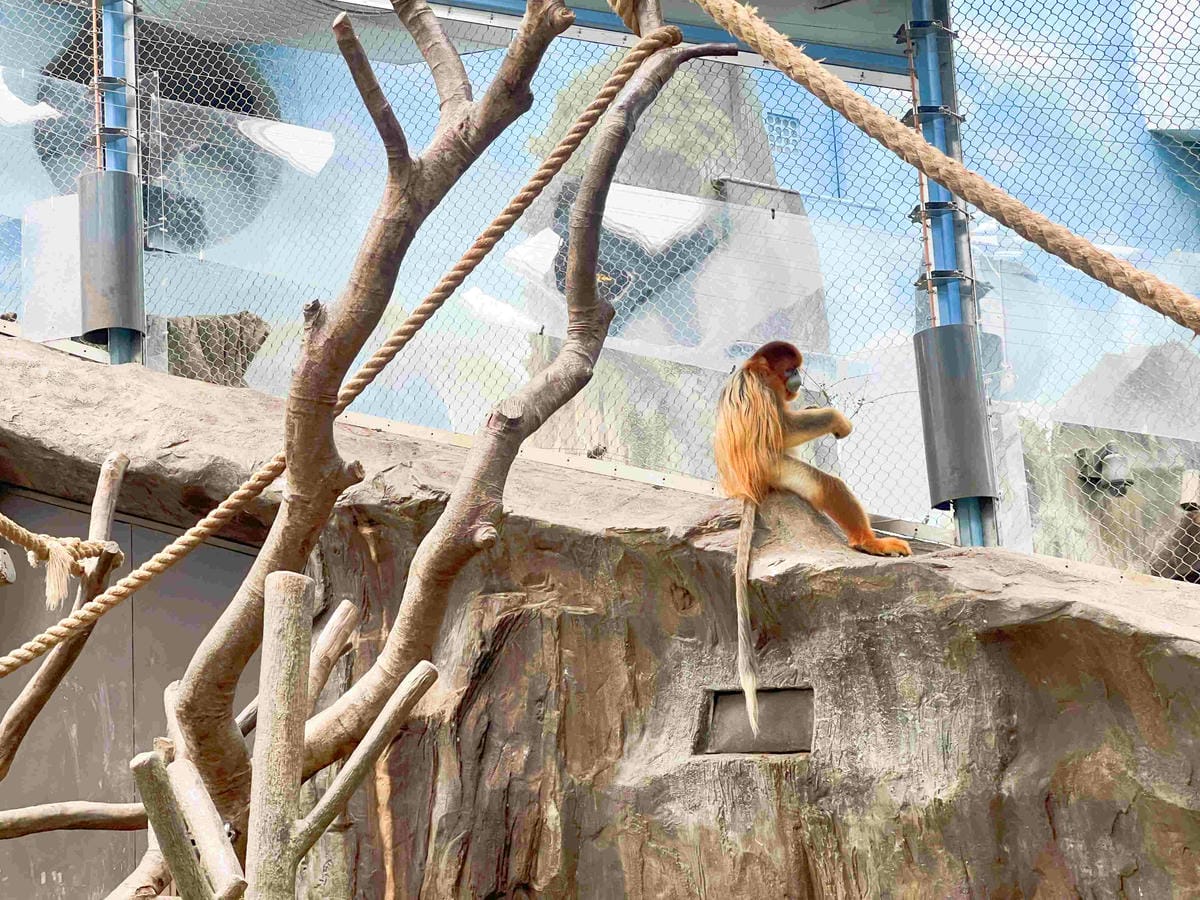 香港海洋公園 (65).jpg 香港海洋公園 (65).jpg