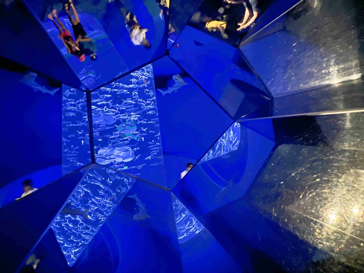 香港海洋公園 (42).jpg 香港海洋公園 (42).jpg