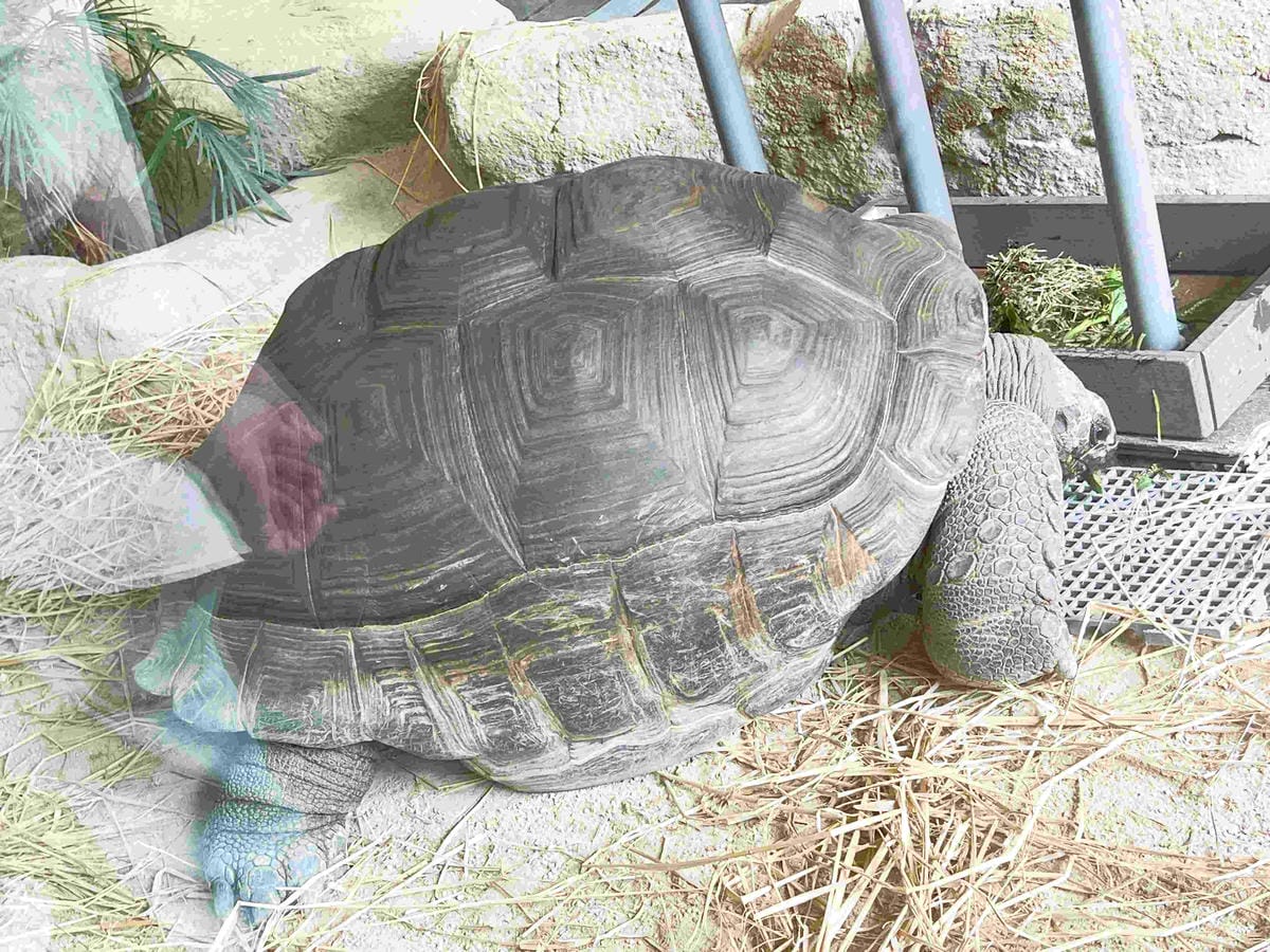 香港海洋公園 (112).jpg 香港海洋公園 (112).jpg